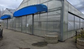 2001 Cravo Greenhouse